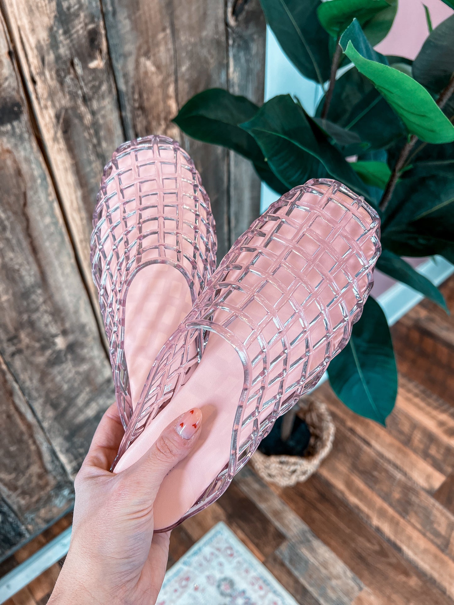 Solar Lattice Jelly Flats