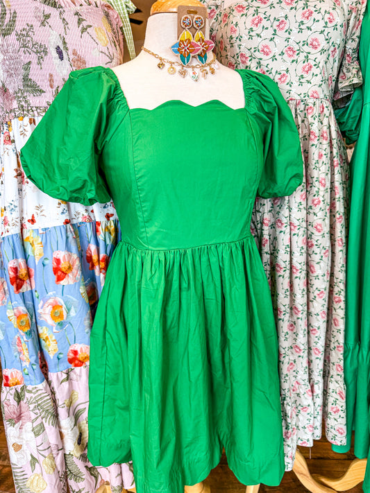 Puff Sleeve Embroidered Mini Dress